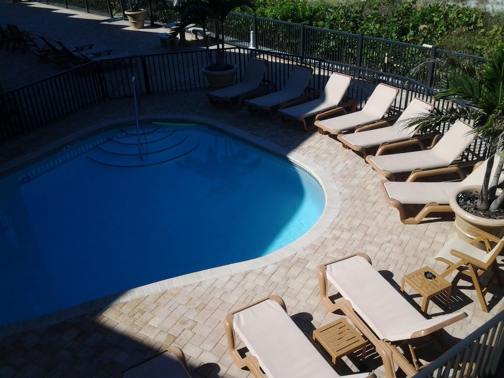 Photo of a large beach style back custom shaped swimming pool in Tampa with brick paving.