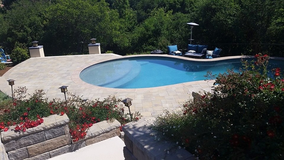 Пример оригинального дизайна: большой бассейн в форме фасоли на заднем дворе в классическом стиле с мощением тротуарной плиткой