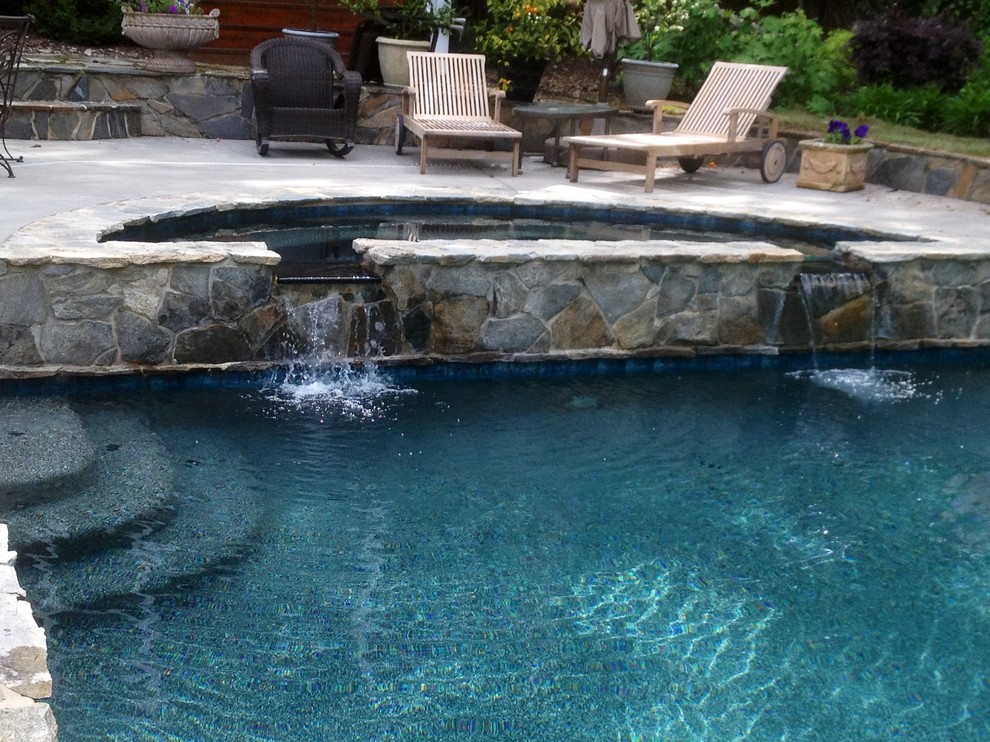 Пример оригинального дизайна: естественный бассейн среднего размера, произвольной формы на заднем дворе в классическом стиле с покрытием из бетонных плит