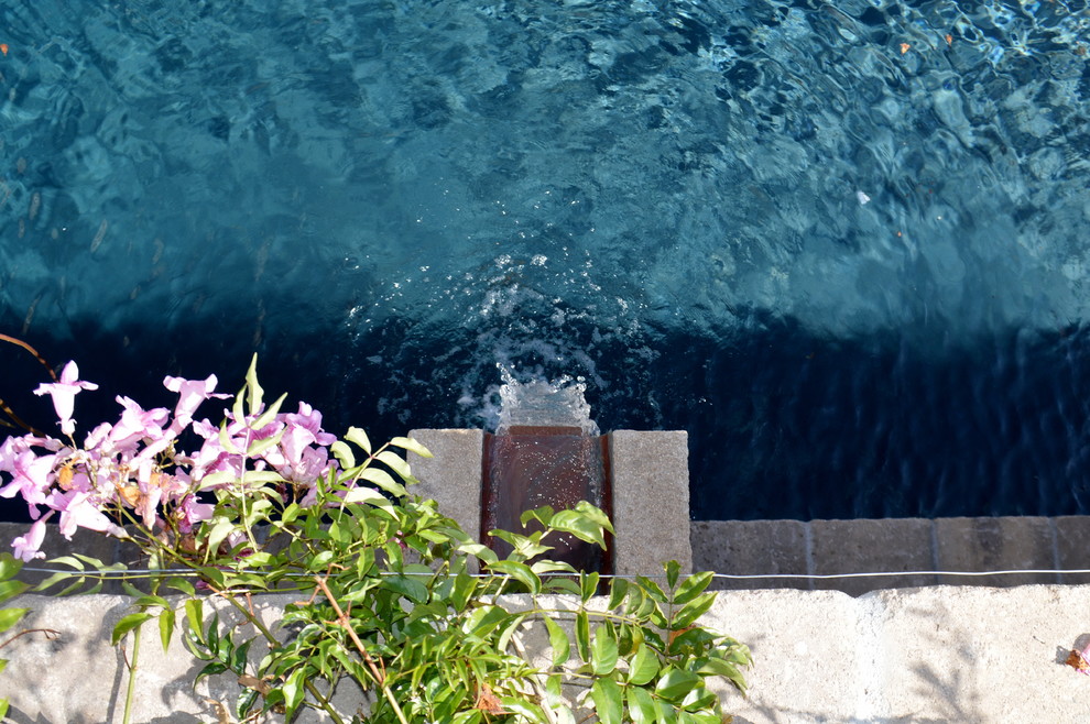 Exemple d'une piscine nature.