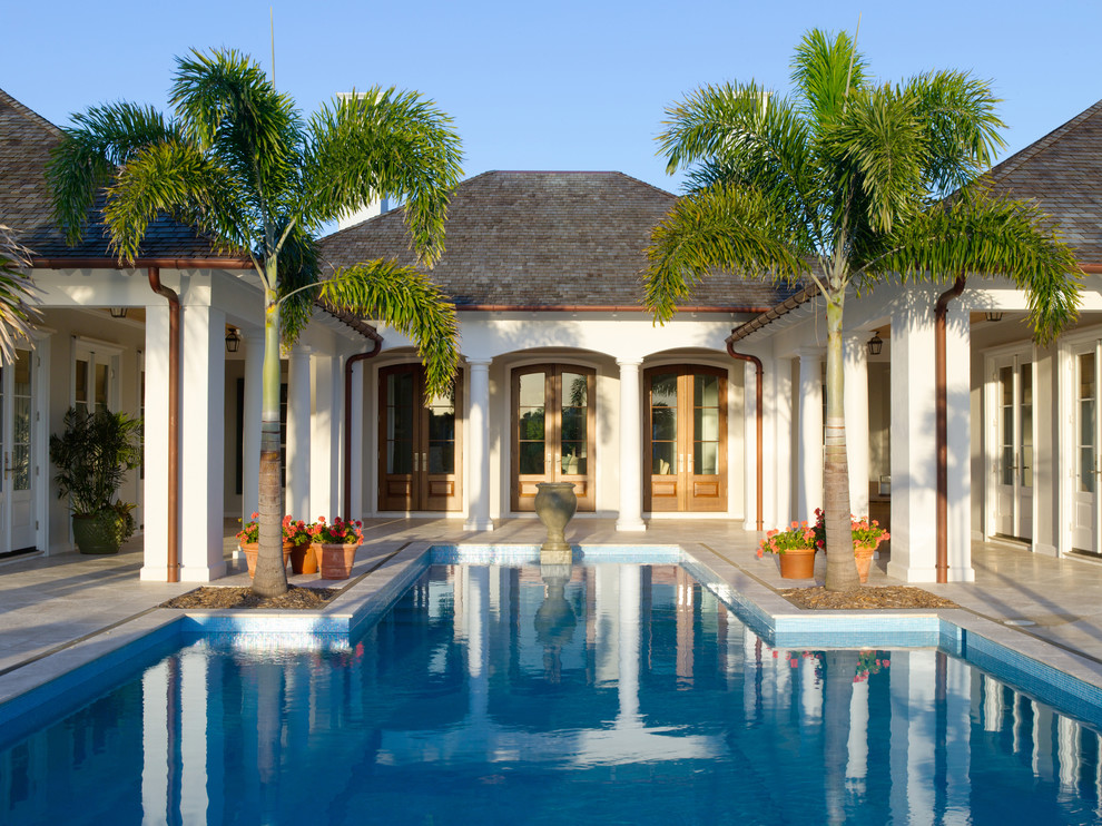 Diseño de piscina tropical a medida en patio