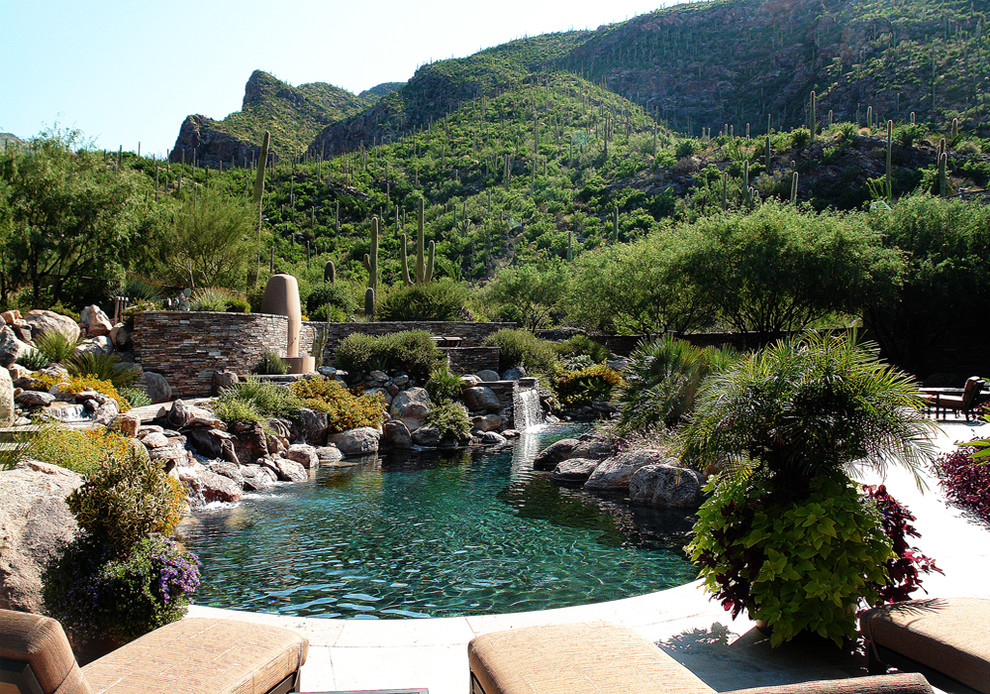 Inspiration for a contemporary natural swimming pool in Phoenix.