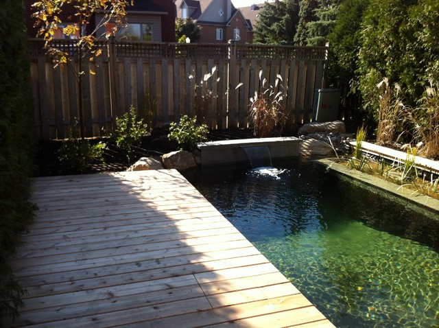 Tarima para piscina – Montajes en Madera  Swimming pools backyard, Small  inground pool, Small backyard pools