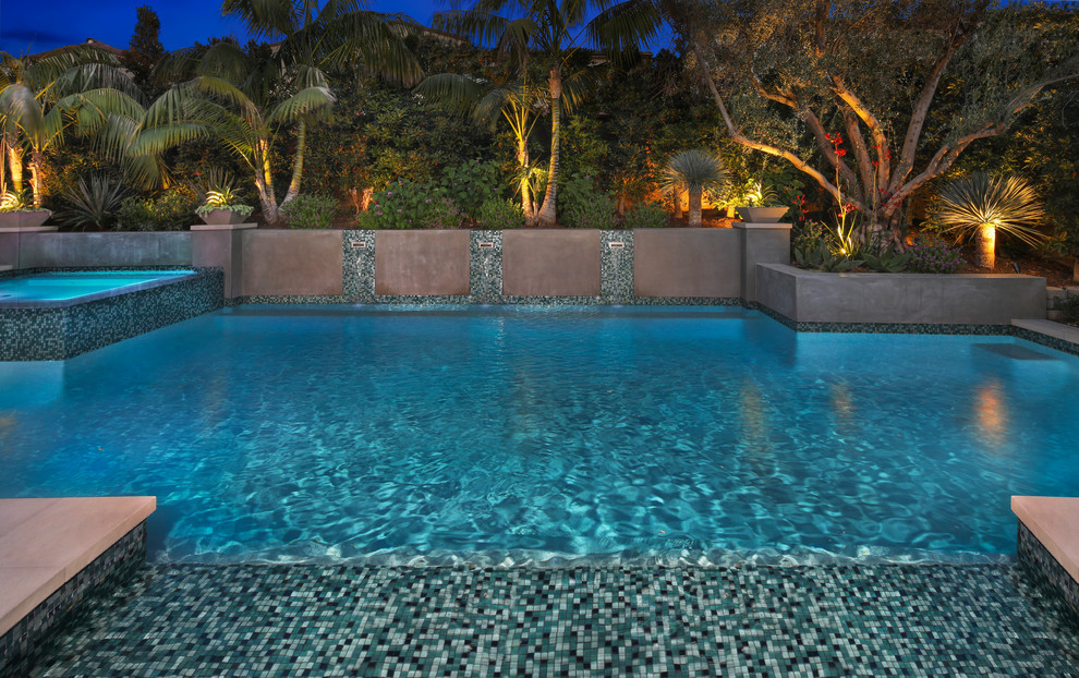 Photo of a large contemporary back custom shaped natural swimming pool in Orange County with a water feature and natural stone paving.