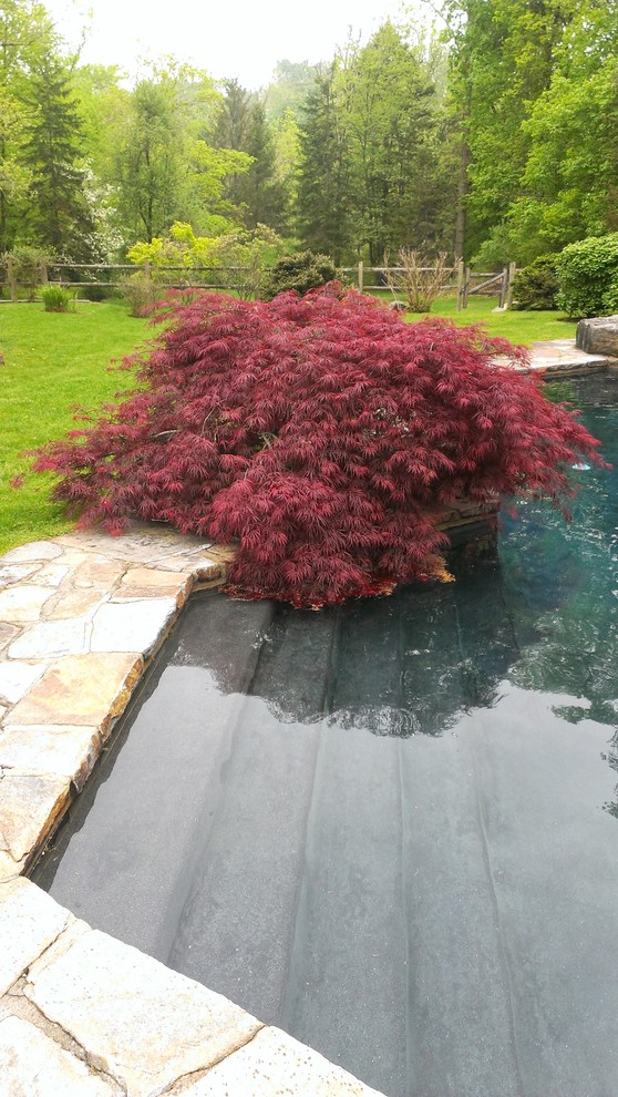 Diseño de piscina con fuente natural de estilo de casa de campo grande a medida en patio trasero con adoquines de piedra natural