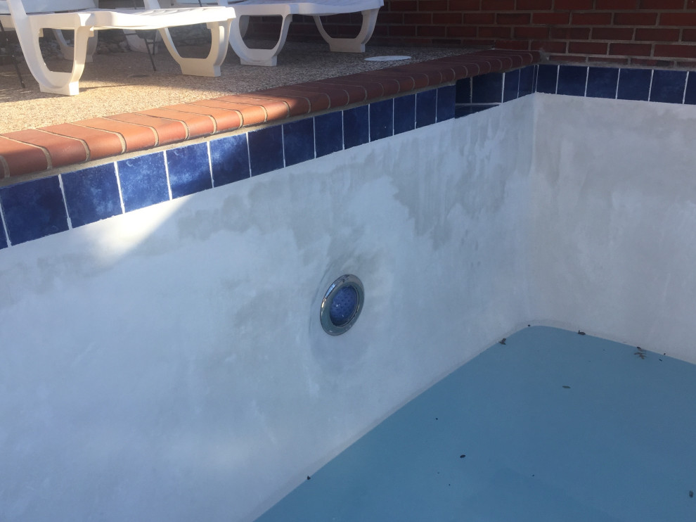 Plaster Mottling and Scale Pool Dallas by Tile Concepts, Inc Houzz