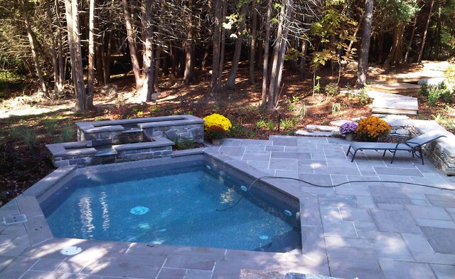 Plunge Pool - Contemporary - Pool - Toronto - by Tim Goodwin Pools Ltd ...