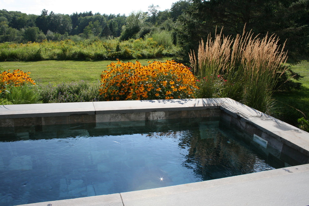 Kleiner Klassischer Pool hinter dem Haus in rechteckiger Form mit Natursteinplatten in Boston