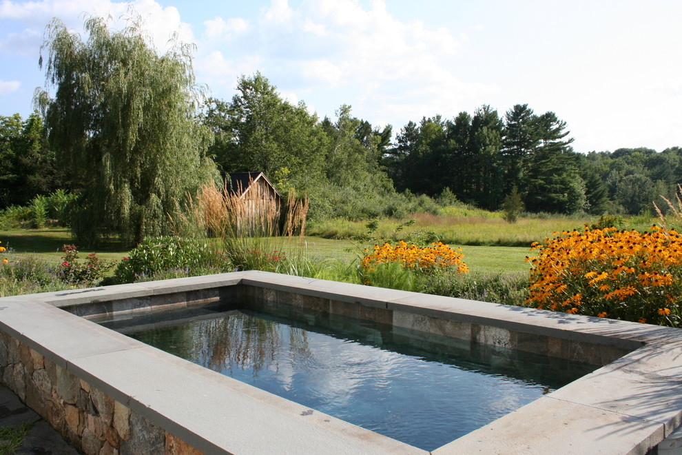 Идея дизайна: маленький прямоугольный бассейн на заднем дворе в стиле кантри с покрытием из каменной брусчатки для на участке и в саду