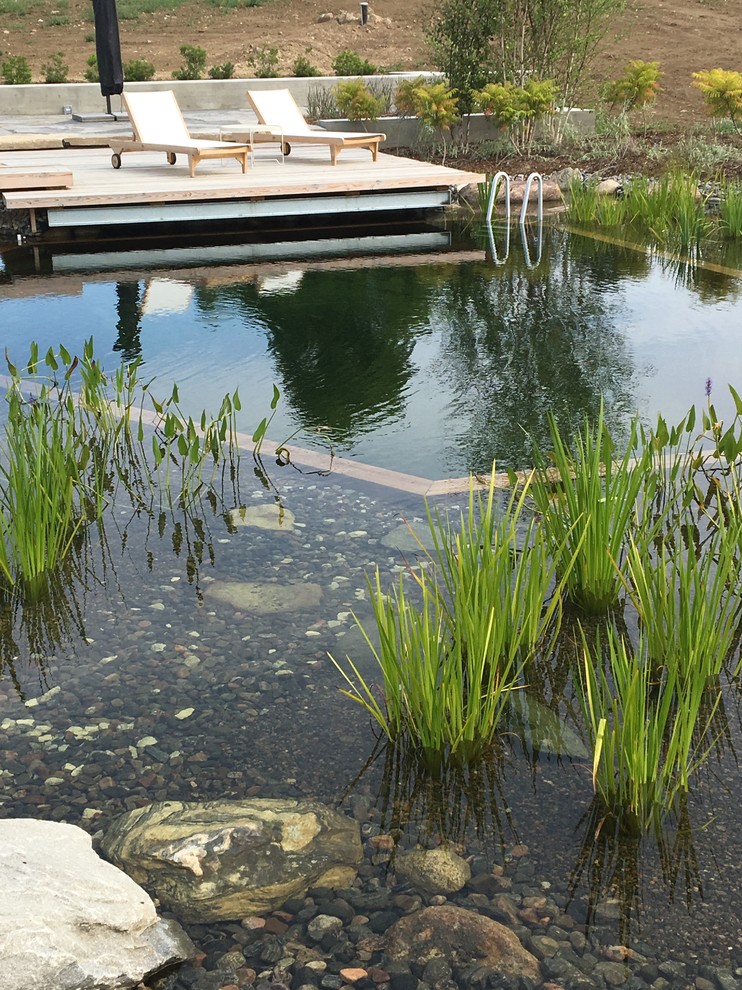 Inspiration pour une grande piscine naturelle et arrière minimaliste sur mesure avec des pavés en pierre naturelle.