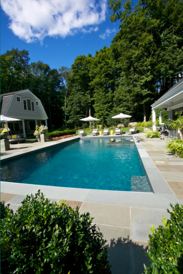 Идея дизайна: большой прямоугольный, естественный бассейн на заднем дворе в современном стиле с мощением тротуарной плиткой и домиком у бассейна