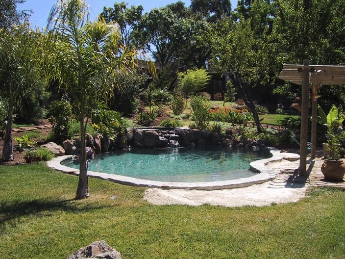 Réalisation d'une piscine naturelle et arrière asiatique de taille moyenne et sur mesure avec un point d'eau et des pavés en béton.