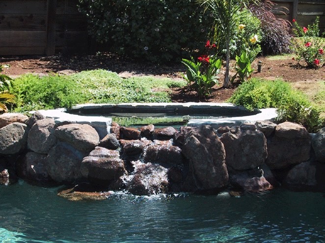 Modelo de piscina con fuente natural asiática de tamaño medio a medida en patio trasero con adoquines de hormigón