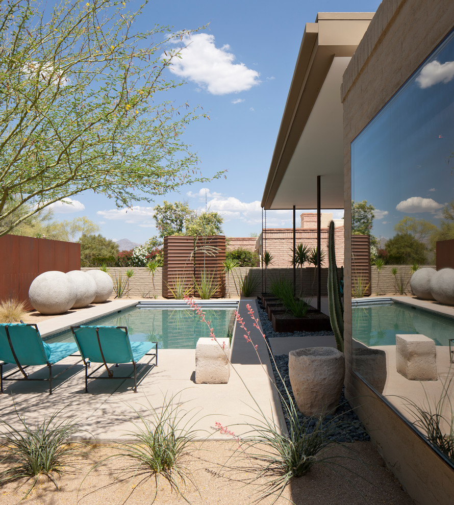 Contemporary swimming pool in Phoenix.