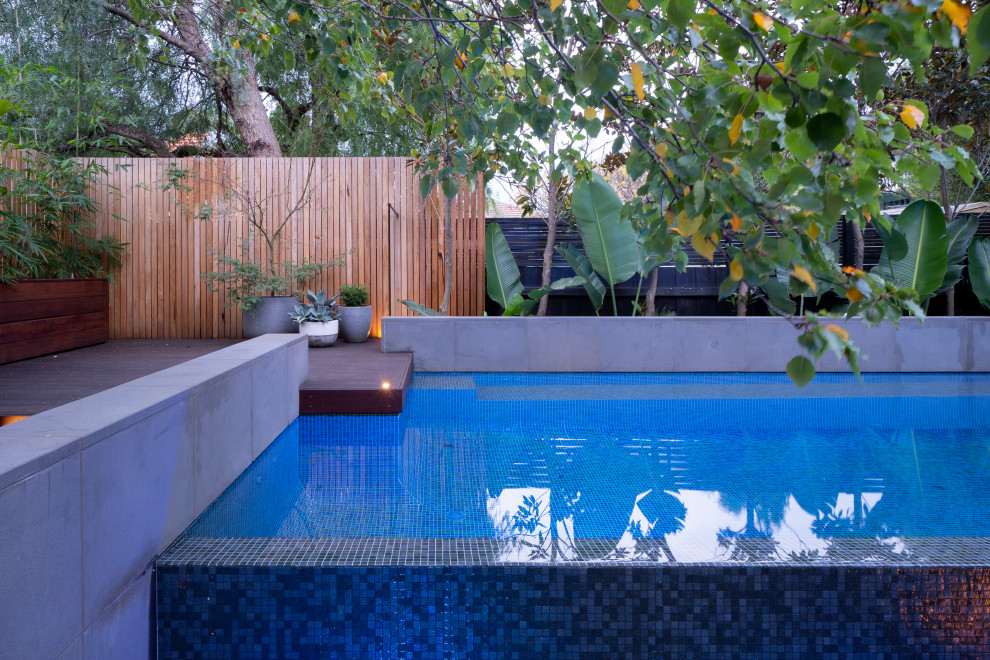 Modelo de piscina infinita exótica pequeña rectangular en patio trasero con paisajismo de piscina y suelo de baldosas