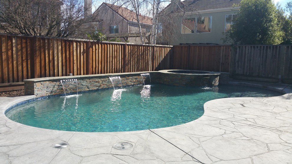 Imagen de piscinas y jacuzzis clásicos de tamaño medio tipo riñón en patio trasero con suelo de hormigón estampado