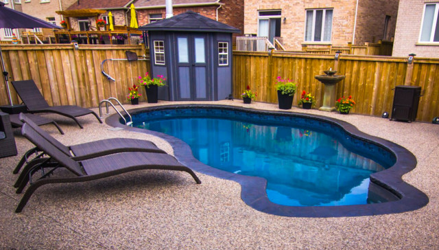 Pool Pool House Transitional Pool Toronto By The Pool Shoppe   Pool And Pool House The Pool Shoppe Img~79a15cc606d5efef 4 0893 1 0f92102 