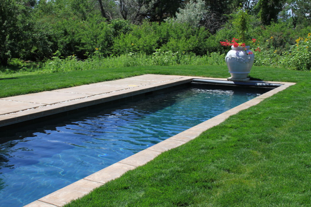 Diseño de piscina natural clásica de tamaño medio rectangular en patio trasero