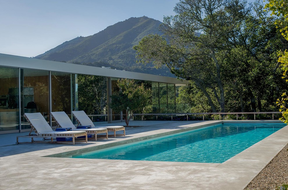 Пример оригинального дизайна: большой спортивный, прямоугольный бассейн на заднем дворе в стиле модернизм с покрытием из бетонных плит