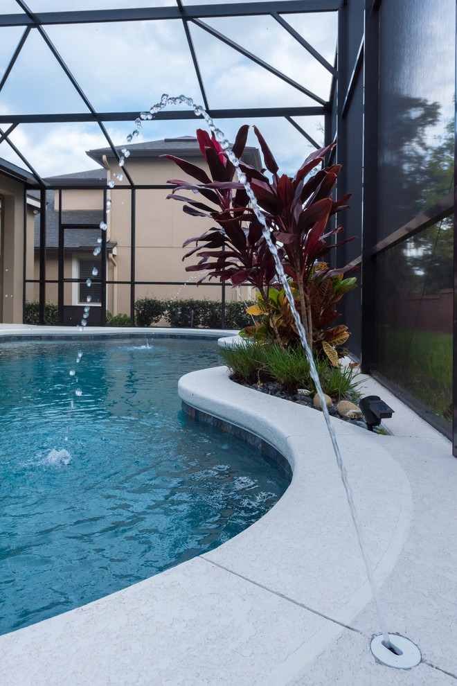 Mid-sized transitional indoor custom-shaped pool fountain photo in Orlando