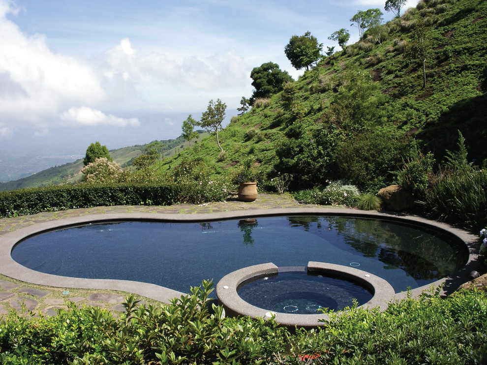 Traditional kidney-shaped swimming pool in Dallas with natural stone paving.