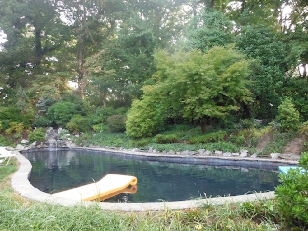 Aménagement d'une grande piscine naturelle et arrière montagne sur mesure avec des pavés en pierre naturelle.