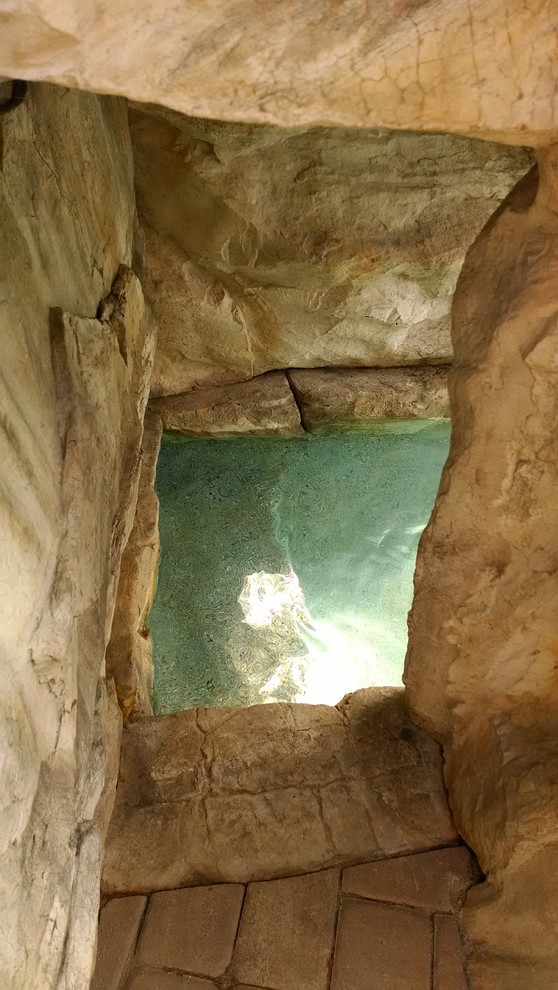 Pool Grottos/Wine Caves Tropical Pool Charlotte by Creative