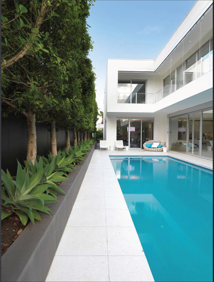 Large modern rectangular pool in Melbourne.