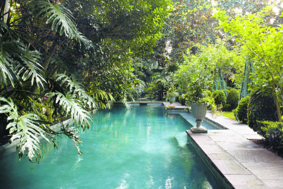 Example of an island style pool design in Other