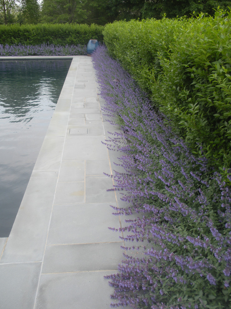Inspiration pour une piscine arrière design de taille moyenne et rectangle avec des pavés en pierre naturelle.
