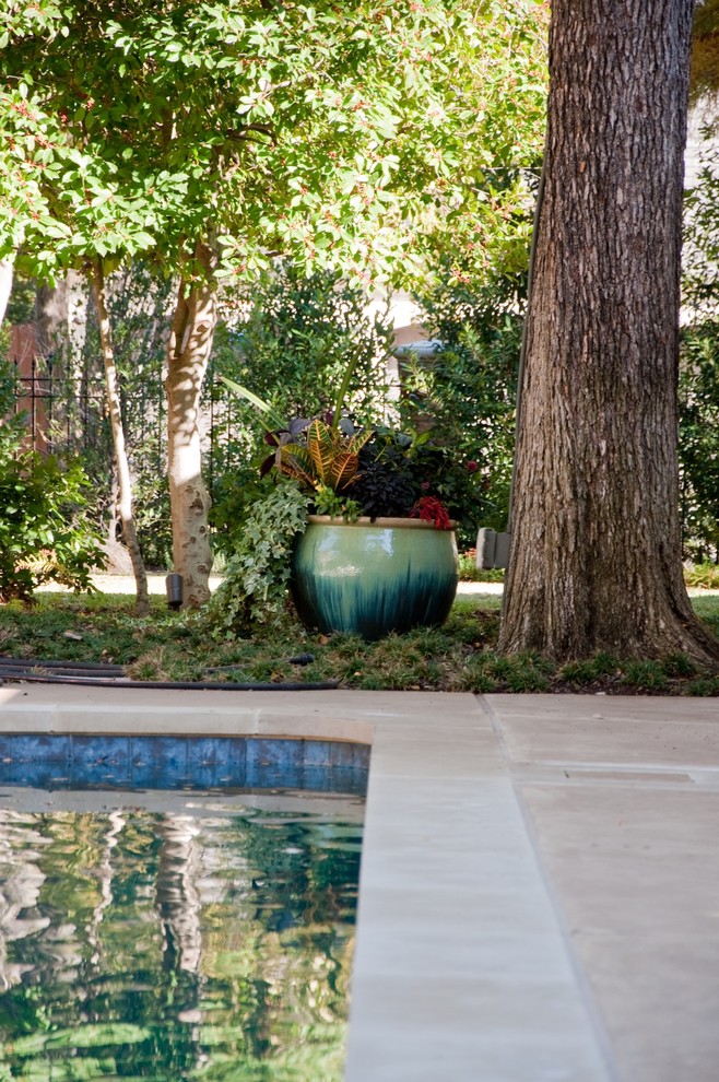 Пример оригинального дизайна: спортивный, прямоугольный бассейн среднего размера на заднем дворе в классическом стиле с покрытием из бетонных плит