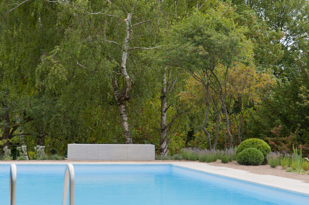 Immagine di una piscina monocorsia tradizionale rettangolare di medie dimensioni e nel cortile laterale con pavimentazioni in pietra naturale