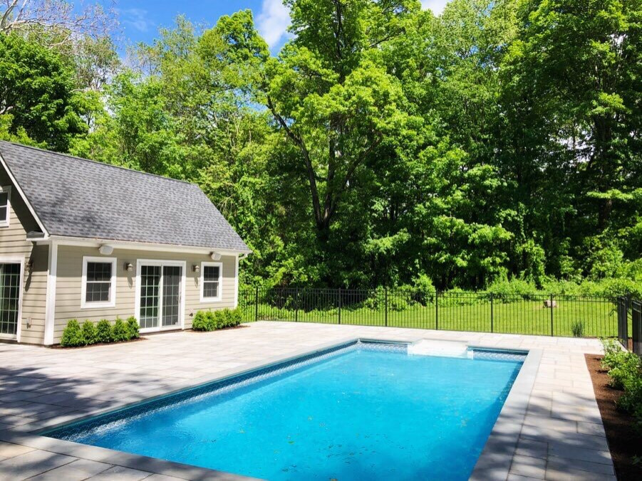 Ejemplo de piscina natural contemporánea rectangular en patio trasero con paisajismo de piscina y adoquines de piedra natural