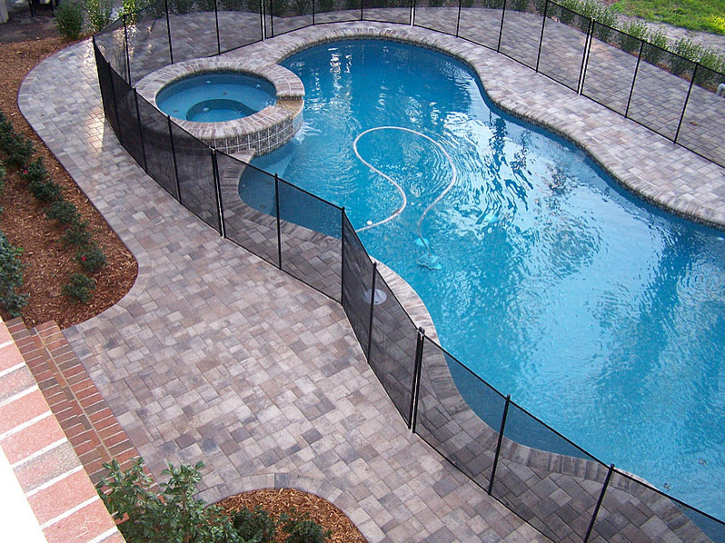 Design ideas for a traditional swimming pool in Tampa.