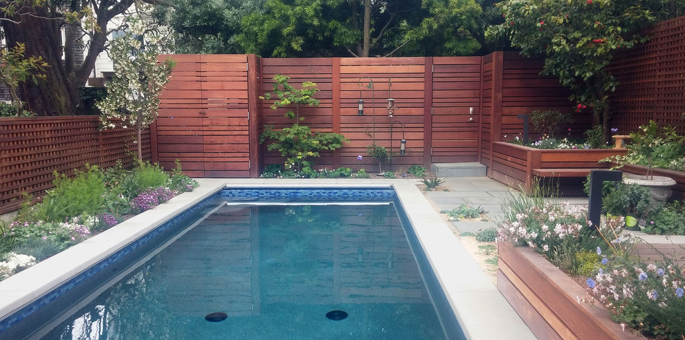 Идея дизайна: маленький спортивный, прямоугольный бассейн на заднем дворе в современном стиле с покрытием из каменной брусчатки для на участке и в саду