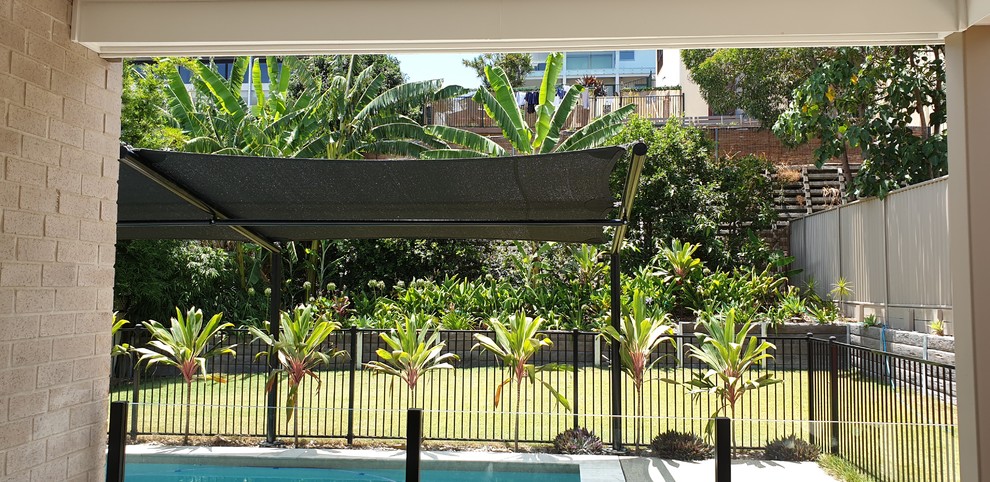 Photo of a medium sized modern back rectangular natural swimming pool in Brisbane with decking.