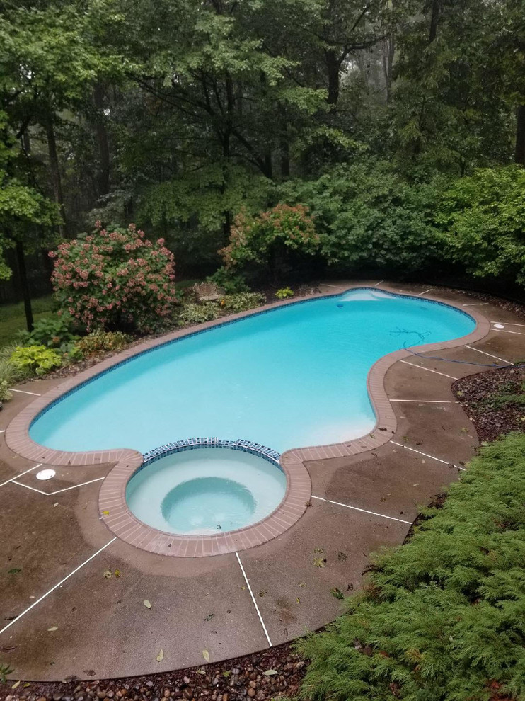 Inspiration for a mid-sized timeless backyard brick and custom-shaped natural pool remodel in Philadelphia