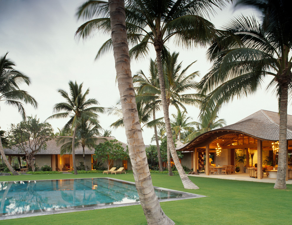 Immagine di una grande piscina tropicale rettangolare in cortile