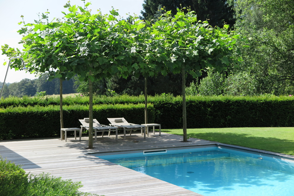 Foto de casa de la piscina y piscina alargada contemporánea extra grande rectangular en patio lateral con losas de hormigón