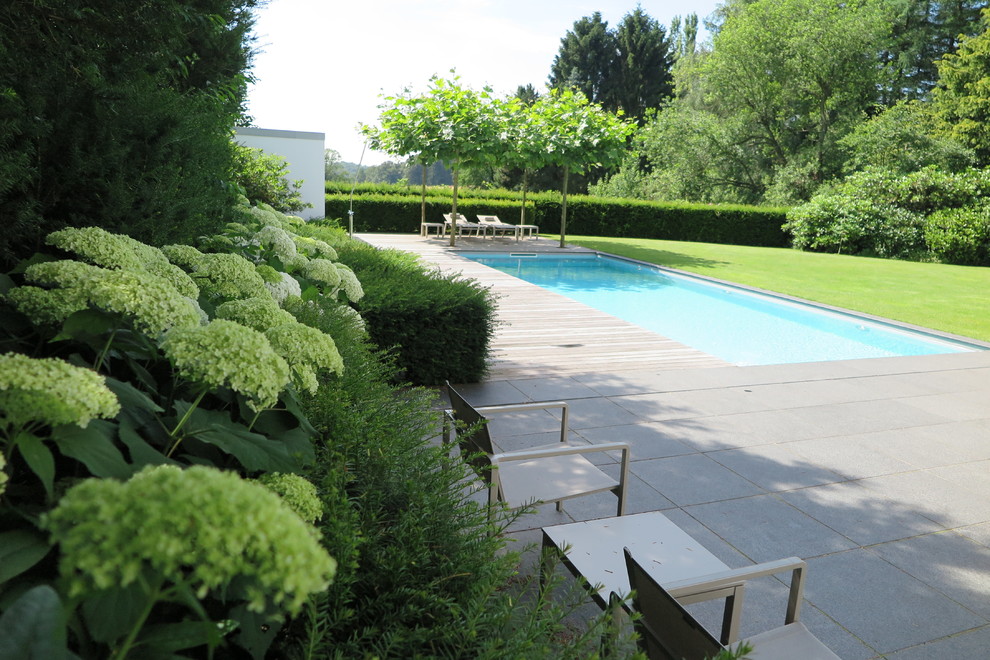 Modelo de casa de la piscina y piscina alargada actual rectangular en patio lateral con losas de hormigón