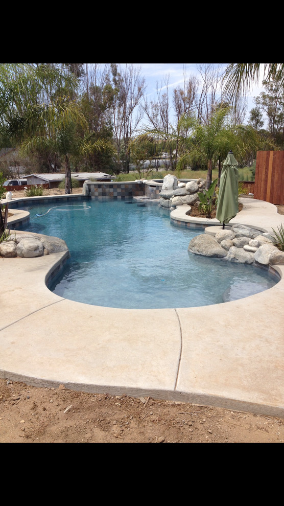 Design ideas for a medium sized contemporary back custom shaped natural swimming pool in San Diego with stamped concrete.