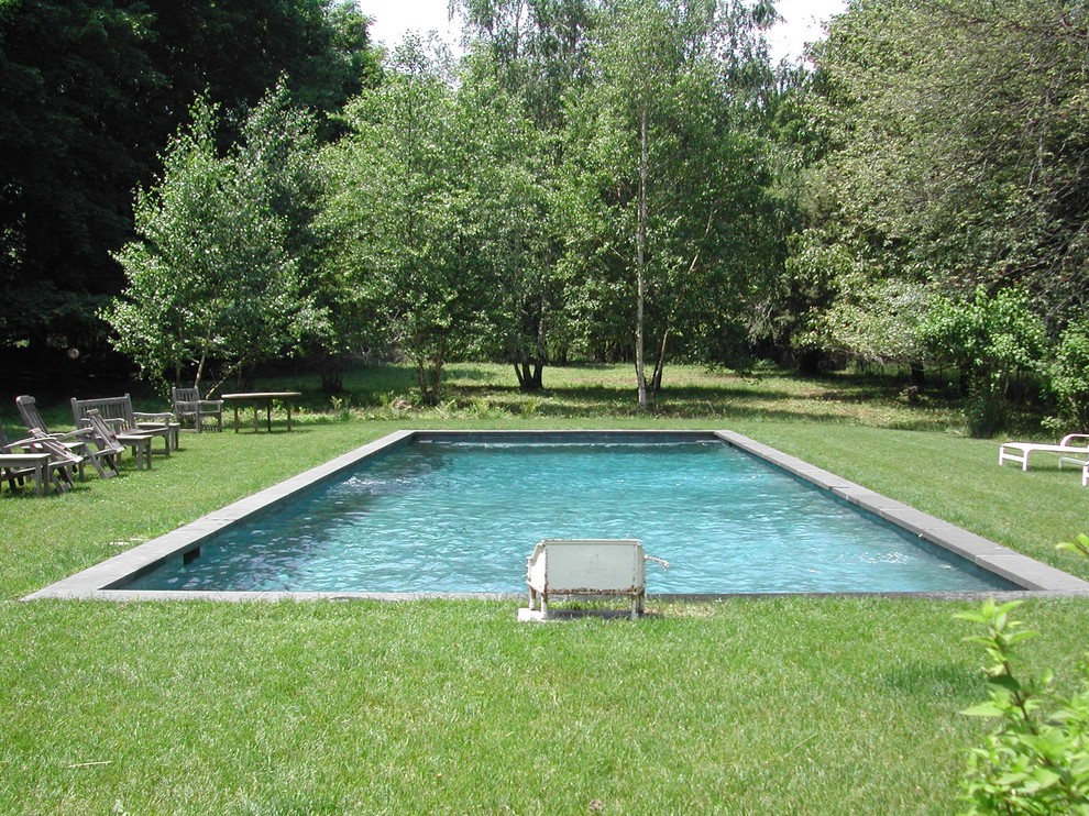 Mid-sized trendy backyard concrete and rectangular lap pool photo in New York
