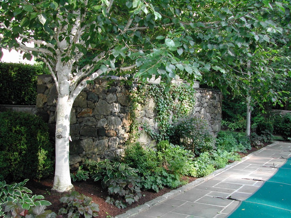 Esempio di un giardino minimal di medie dimensioni e dietro casa