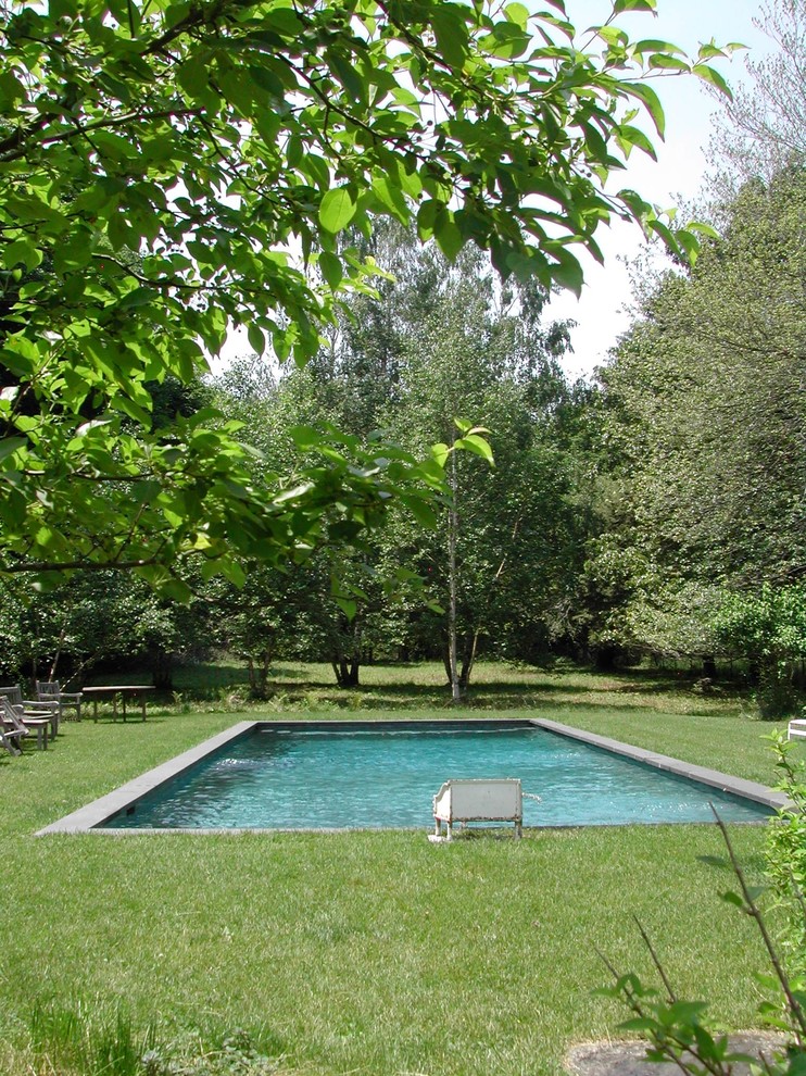 Photo of a medium sized contemporary back rectangular lengths swimming pool in New York with concrete slabs.