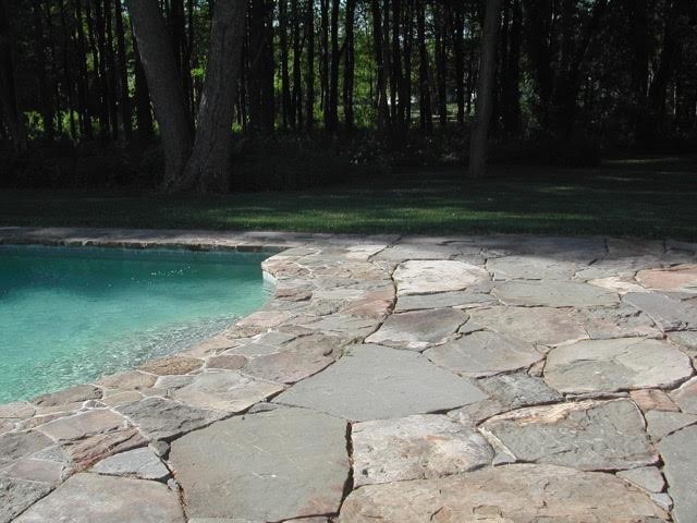 Foto di una piscina monocorsia contemporanea rettangolare di medie dimensioni e dietro casa con lastre di cemento
