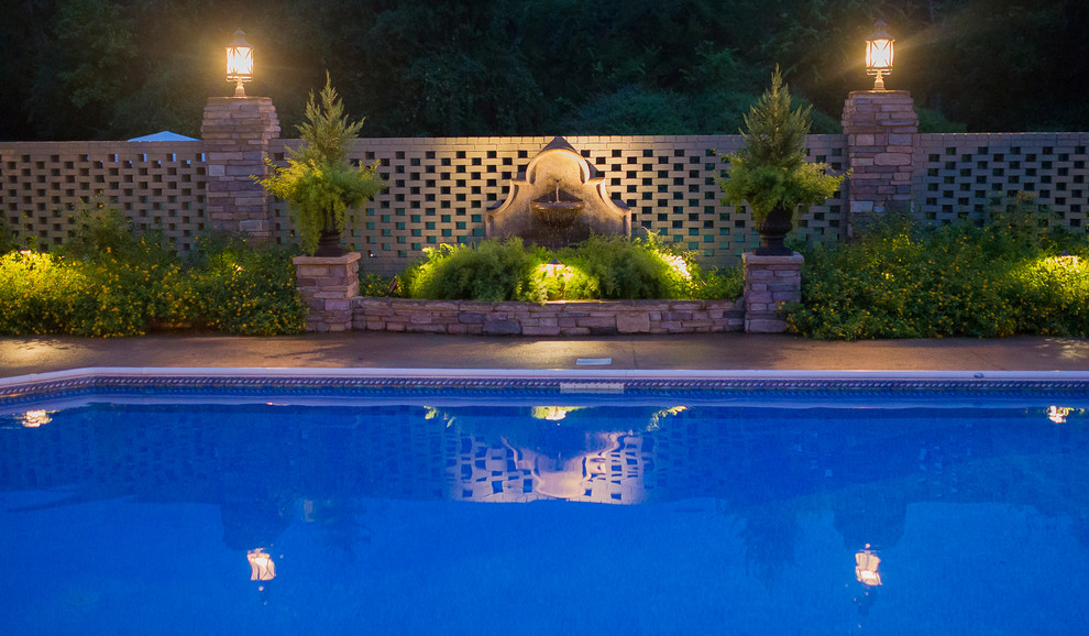 Ispirazione per una grande piscina monocorsia tradizionale rettangolare dietro casa con fontane