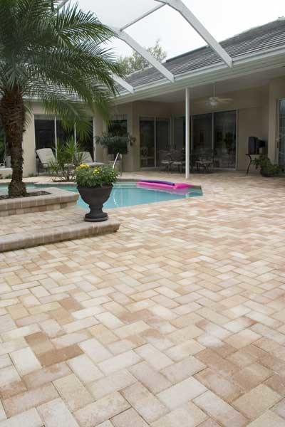 This is an example of a traditional swimming pool in Tampa.