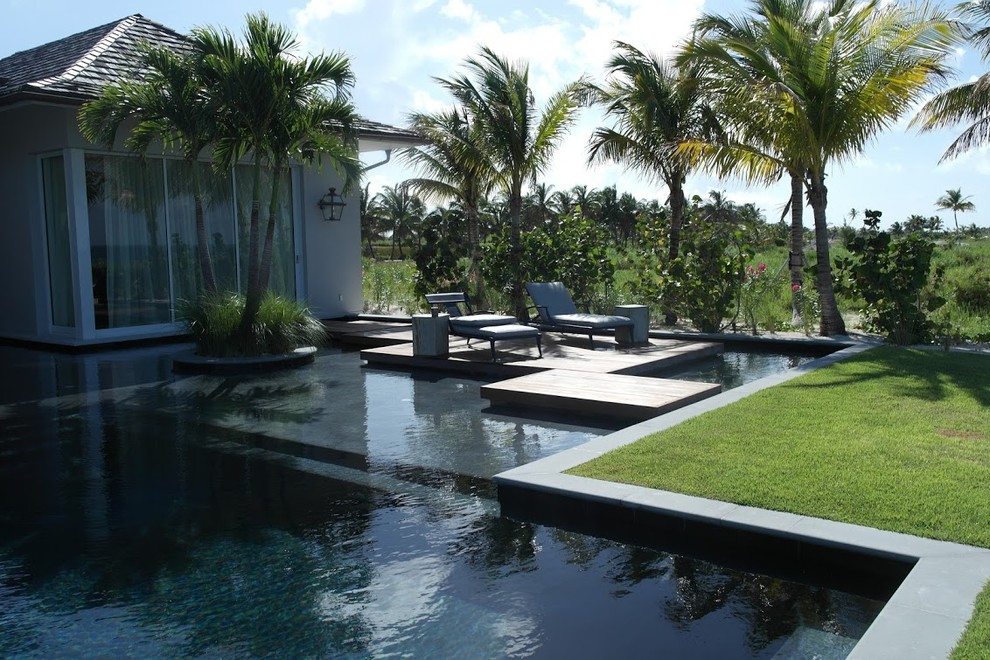 Idee per una grande piscina monocorsia tropicale rettangolare dietro casa con pedane