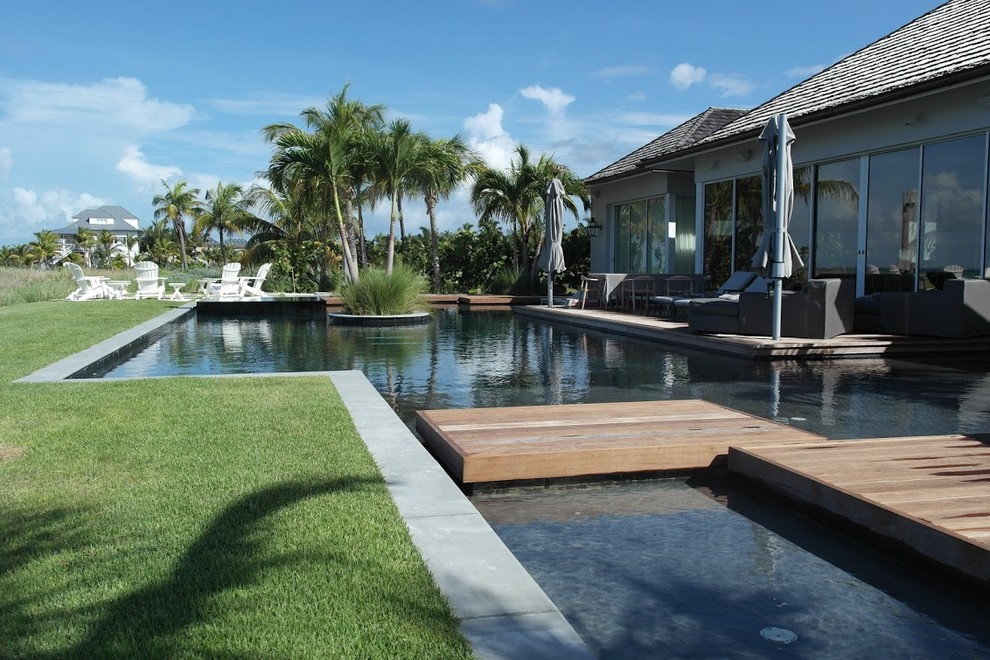 Diseño de piscina alargada tropical grande rectangular en patio trasero con entablado