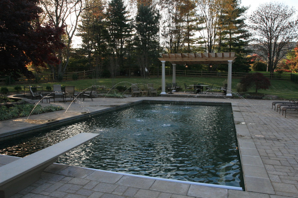 Modelo de piscina natural tradicional grande rectangular en patio trasero con adoquines de hormigón